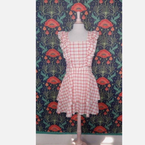 The Shirt Rochelle Behrens Stella Red Cream Seersucker Ruffle Yoke Mini Dress M - Picture 3 of 8